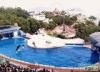 1 Day Hong Kong Ocean Park Tour