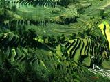 4 days Minority and Natural Scenery Tour with hotel package pictures