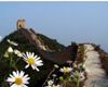 1 Day Tour: Jinshanling Great Wall