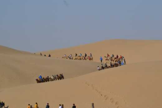 contrast: Singing Sand Ravine in the Kubuqi desert