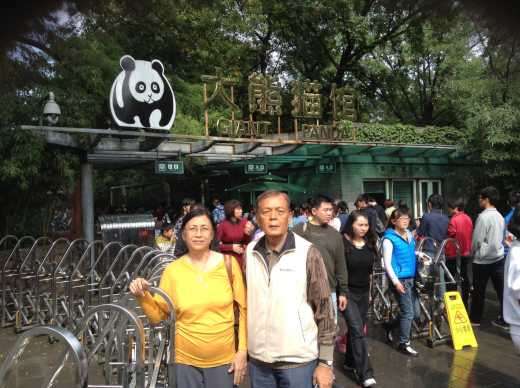 At Panda Zoo