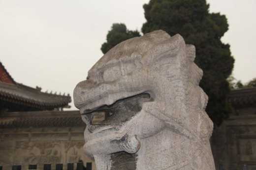 Xi'an dragon.