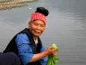 A lady washing cabbage in the river in Shidong village