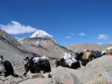 16 Days Tour to Tibet Mt Kailash Adventure pictures
