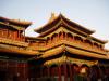 1 Day Tour: Lama, Confucius Temple, Panda Zoo, Tiananmen Square