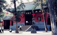 2 Days Tour for Longmen Grottoes Cave & Shaolin Temple pictures