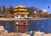 8 Days Kunming -Dali -Lijiang Tour pictures