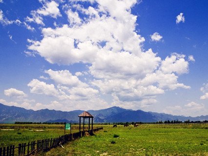 kangxi grassland