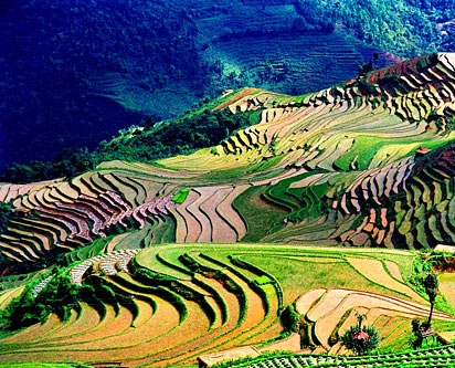 Hani Terraces and Xinjiang Tianshan Became New World Heritages ...