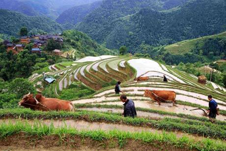 8 days Minority and Natural Scenery Tour in Guizhou Province