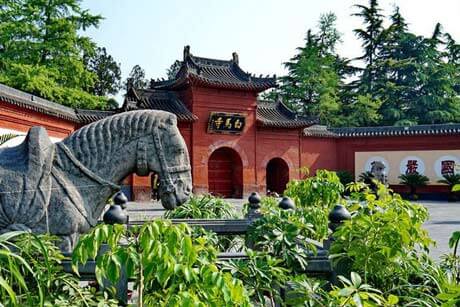 1 Day Tour: Luoyang Longmen Grottoes, White Horse Temple